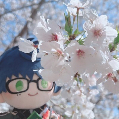 ちゃんこさんのプロフィール画像