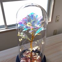 ともや (@koyoi42) Twitter profile photo