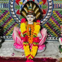 Dev Ruwala (@dev_ruwala) 's Twitter Profile