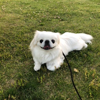🗼Webエンジニア🧑🏻💻| ポテパンキャンプ卒業🎓2023.9.30 | 修業中: Ruby, Rails, SQL,PHP,Laravel