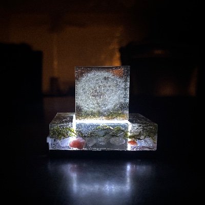 hillshafer_wyo's profile picture. Software designer in the making/Fine Artist/Graphic Artist/Business Manager