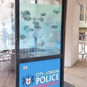 mt101i's profile picture. No longer a politikal prisoner.
Just persecuted..
https://t.co/EitXc37mnS