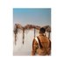 shakashoelu (@shakashoelu) Twitter profile photo shakashoelu (@shakashoelu) Twitter profile photo