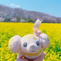 愛されぱぴちの日常 (@ppppmochchi2283) 's Twitter Profile Photo