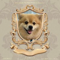 Pikajuuuuu (@pikajuuuuu1) 's Twitter Profile
