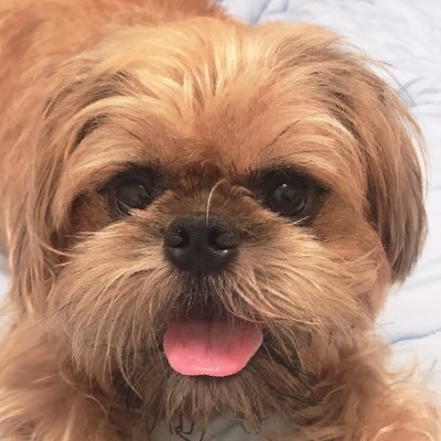 デッドプー太郎さんのプロフィール画像