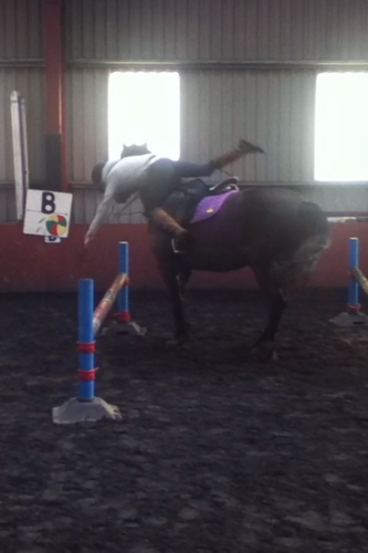 ISF_Meader's profile picture. supporter of the ian somerhalder foundation. (ISF)