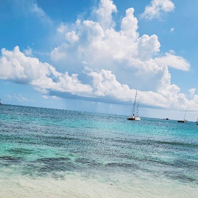 anguilla24's profile picture. 