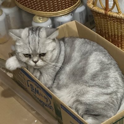 apamalin's profile picture. 