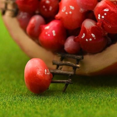 さんだーさんさんのプロフィール画像