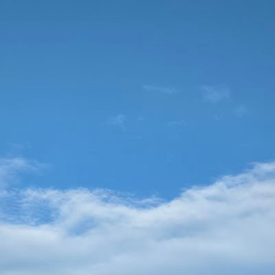 pantere1919's profile picture. 