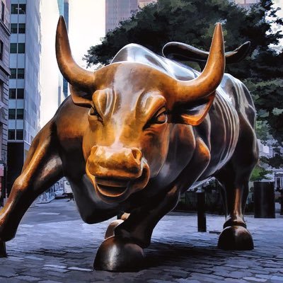 📈 Tracking options & volatility | 🎯 Risk management mindset | Not a Financial Advisor #Finance #OptionsTrading #Investing