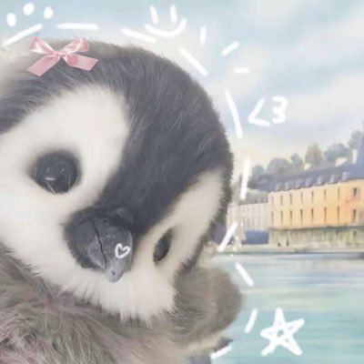 luvoenguin's profile picture. 