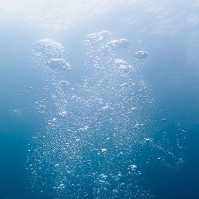 renoir_missing's profile picture. Photographer Based in Osaka/Japan