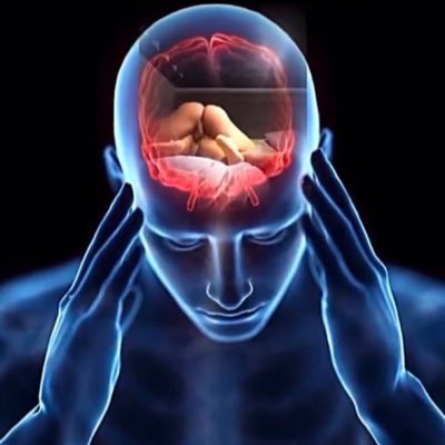 pornophilist's profile picture. PhD from the Masturbation Academy, +40 years of experience.
Trying to reach the Goonirvana, following the Porn cult of my Mistresses.