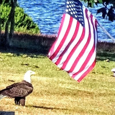 Brenda2OF7's profile picture. 