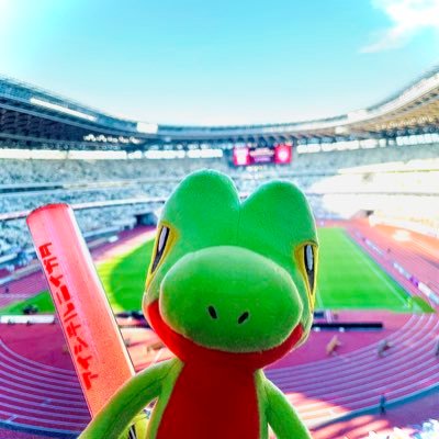 💁♀️プロ野球とJリーグ⚾️swallows ALL🐧 Lions #62🦁⚽️albirex #19 #軍団星 #98年組🦢🌾 かわいいマスコットたち🫶