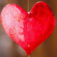 Leren met je Hart (@lerenmetjehart) 's Twitter Profile Photo Leren met je Hart (@lerenmetjehart) 's Twitter Profile Photo
