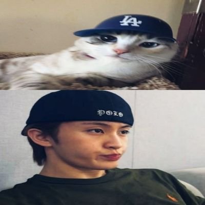 Aysitektur's profile picture. hobi: main roblokforever