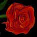 Mafivo (@mafivo199564) Twitter profile photo Mafivo (@mafivo199564) Twitter profile photo