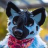BestYeen's profile picture. #Haskell, #Vulkan, #b3d #Blender | Furry, EF staff/director, NFC crew | 🇩🇪 he/they (as a person)
I post more on bsky than here