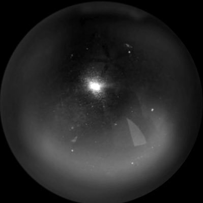 AjAlefaio's profile picture. 