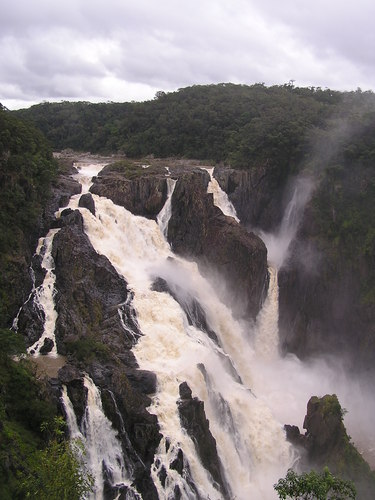 RedlynchLocal's profile picture. 