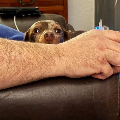 hart71046_dan's profile picture. 