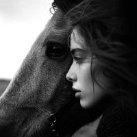 🇫🇷Alba Amazone🇫🇷❤️🐷 (@alba2171283) 's Twitter Profile Photo