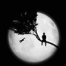 collinstar_p's profile picture. 