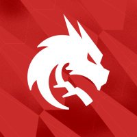 Team Spirit Dota 2 (@tspirit_dota2) 's Twitter Profile