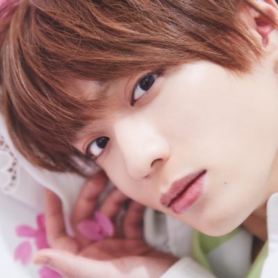 福本大晴 STAFF on X: 福本大晴 STAFF on X: