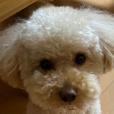 |田舎で酒販店を経営|
|おっちゃん一人で業務用中心に営業、配達がメインなので店舗は倉庫状態&閉まってる事の多い?奇妙なお店ですw|
|ECサイトで、ちょっぴり販売もしています|