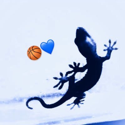 強い三河が見たい💙 #10🐍 #11🐈‍⬛ #19🍢 / #60🍇 / 今年からベルテも🍠
