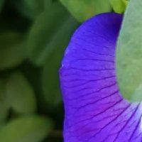 Giju (@ginju4455) 's Twitter Profile