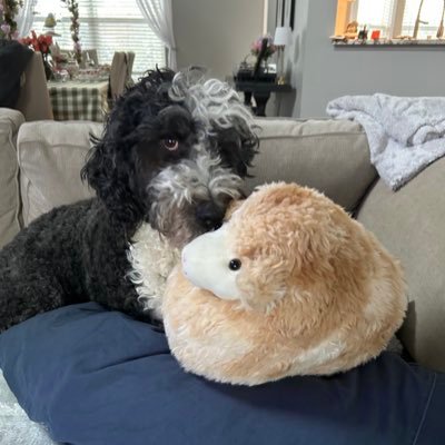 OKM614's profile picture. 