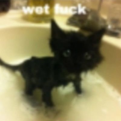 skiz__sol's profile picture. 