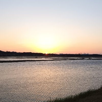 40byudstksn's profile picture. 