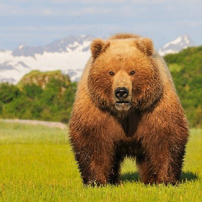 forte38517's profile picture. 