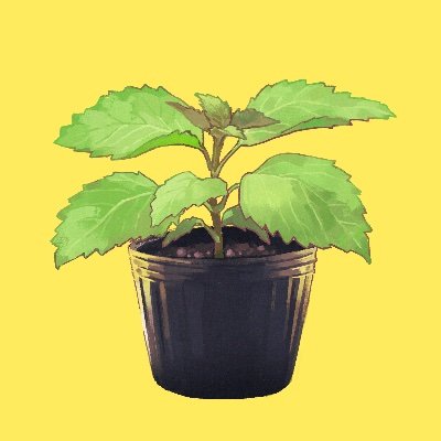 ku9rasaka's profile picture. 絵を描いています。