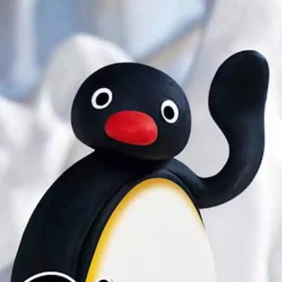 @pingroot404