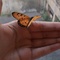 ✨BHUMI✨ (@mystery_photon) 's Twitter Profile