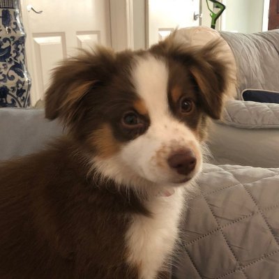 hulynam01's profile picture. 