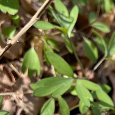 keepsharp24's profile picture. 7b4t | 三争三反 |