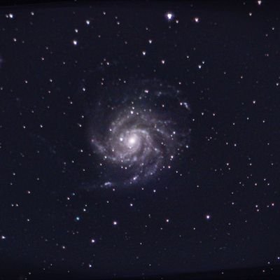 RoseAndromeda87 Profile