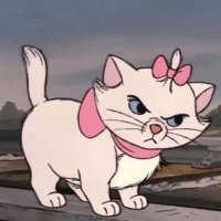 meow (@chi_meowmeow) 's Twitter Profile Photo meow (@chi_meowmeow) 's Twitter Profile Photo
