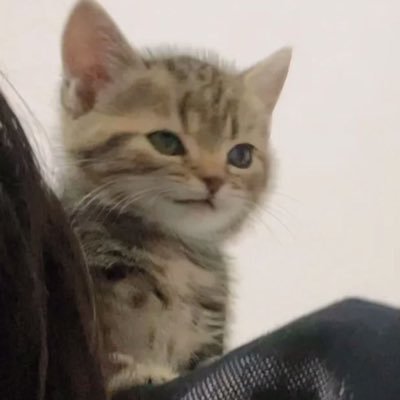 rykaa24's profile picture. 強気相場はいつですか?