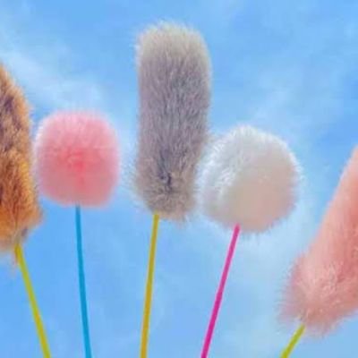 25歳♂
界隈を最近知った界隈初心者です。
ぐり70ぐら30くらい
同じ性癖の人と話したい