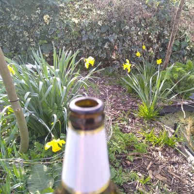 mikeeastmids's profile picture. Native East Midlander 🏴󠁧󠁢󠁥󠁮󠁧󠁿