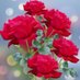 څارنوال شهید زاده غزنیوال (@sshahedzad76046) Twitter profile photo څارنوال شهید زاده غزنیوال (@sshahedzad76046) Twitter profile photo